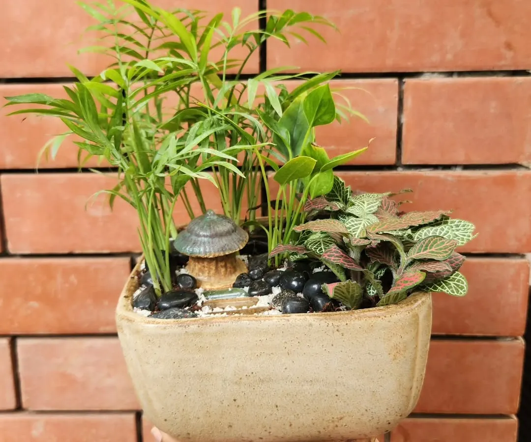 I create these miniature worlds, or terrariums, for desks and small spaces. This open dish garden combines a mini palm and a nerve plant (Fittonia) with decorative pebbles and a tiny mushroom hut to bring a bit of whimsical nature indoors.