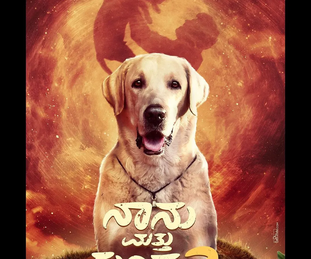 This is the official poster for the Kannada feature film 'Naanu Matthu Gunda 2', where our Labrador, Simba Jr., played the lead role. Preparing a dog for a central character requires intensive on-set training and handling, which is a core part of our service.