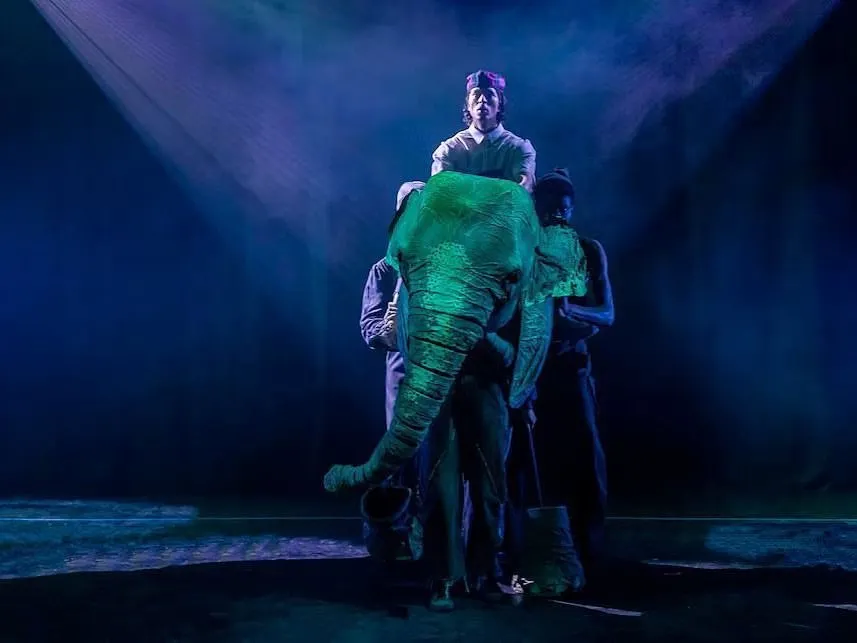 A powerful moment from 'The Vanishing Elephant', a theatrical production I was privileged to be a part of. This show, which made it to Broadway, blended puppetry, music, and storytelling to explore the rights of all living beings.