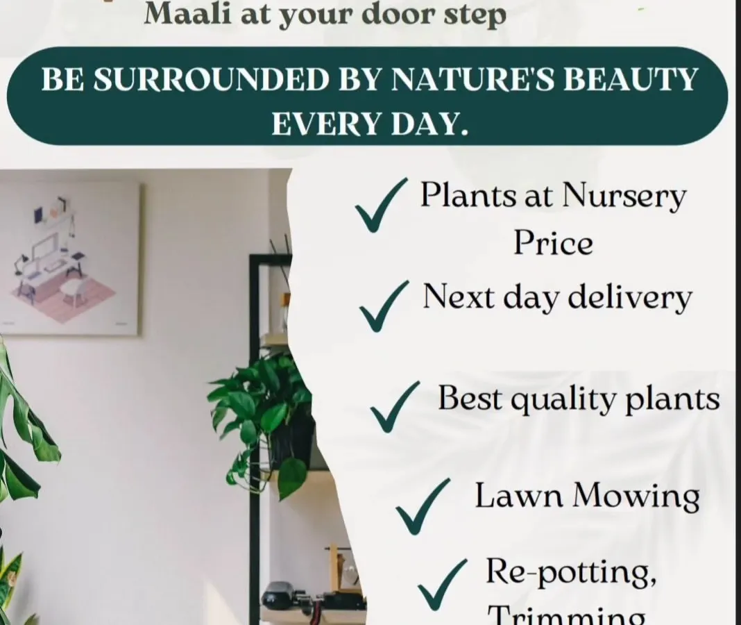 I offer a complete range of services to bring nature's beauty to your doorstep. As you can see, this includes everything from sourcing quality plants to installing modern, water saving drip irrigation systems that take the guesswork out of watering.