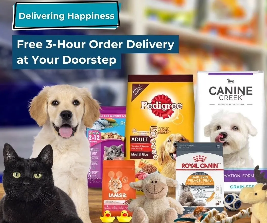 No need to step out. I offer free and fast 3-hour delivery on all pet supplies anywhere in Gurugram, so you get what you need right at your doorstep.