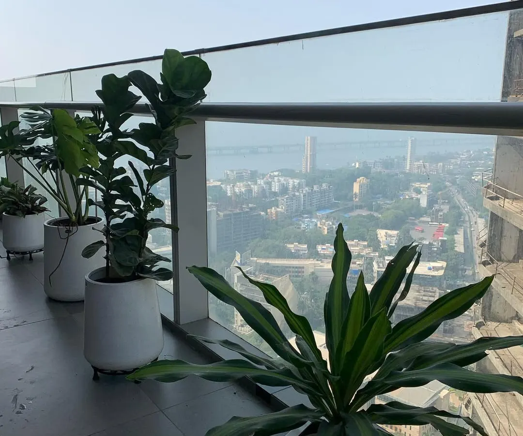 This is a look at a high-rise balcony project in Worli, where I used a series of modern white planters to create a clean, elegant green space. The plants were chosen to withstand the wind and sun exposure while framing the incredible city and sea view.