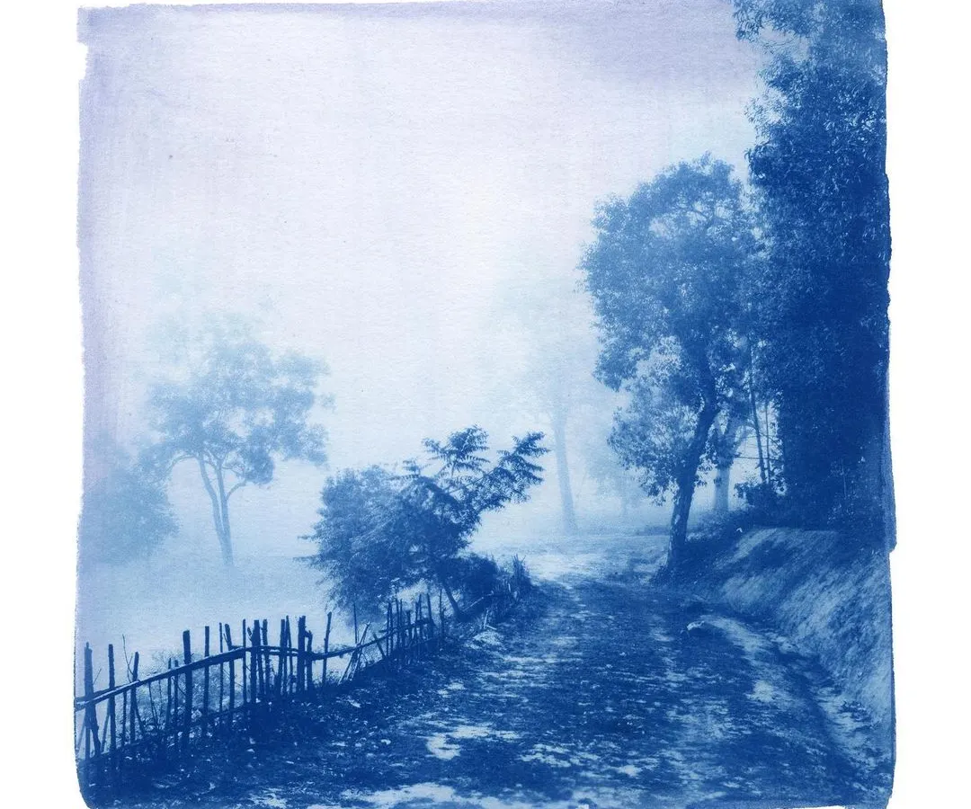 An example of the beautiful, atmospheric art you can create in our cyanotype workshops. This piece, a misty path through the trees, shows the rich tonal range and poetic quality of sun printing, an alternative photography process we love to teach.
