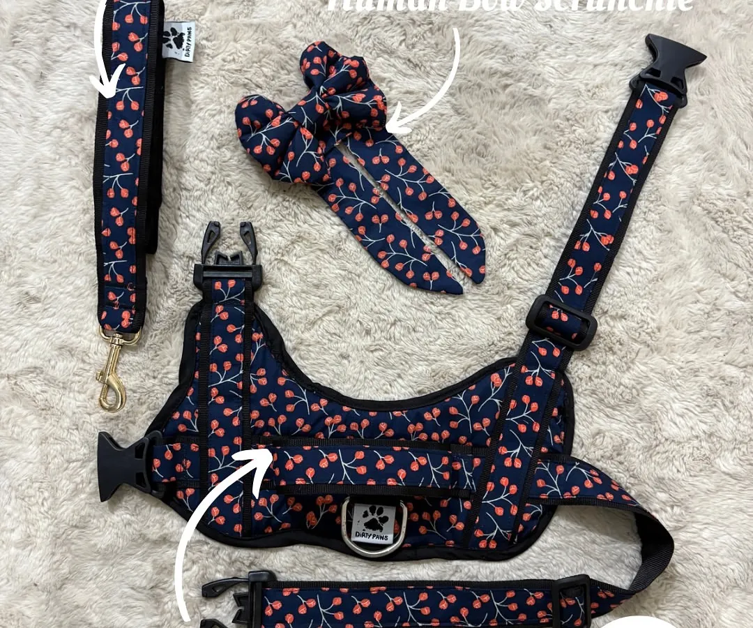 My complete cherry print twinning set. This flat lay shows the adjustable dog harness, a matching sturdy leash, and a cute bow scrunchie for you. It's one of my most popular sets for pet parents who love to coordinate.