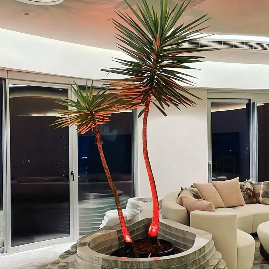 A magnificent silver yucca plant becomes the centerpiece of this luxurious living room. We specialize in sourcing and installing large, statement plants that define a space and bring a unique architectural element indoors.