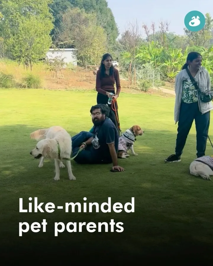 Our group activities are a fantastic way for you and your dog to meet a community of like-minded pet parents. We create a relaxed, supportive space where everyone can share stories, learn from each other, and just enjoy a calm day out.