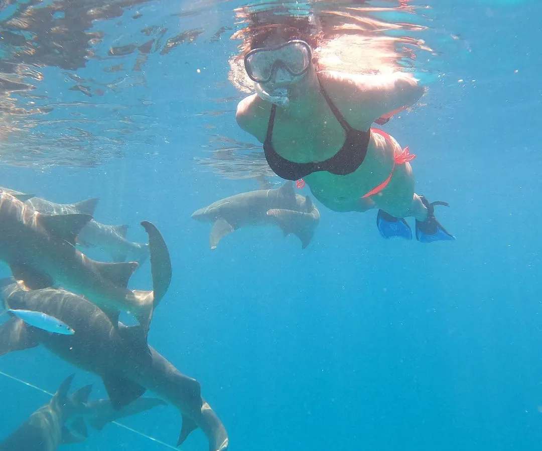 Adventure is a huge part of our journey. Here’s a look at us snorkeling with gentle nurse sharks in the Maldives. It’s an experience that pushes your boundaries and leaves you in awe of nature’s wonders.