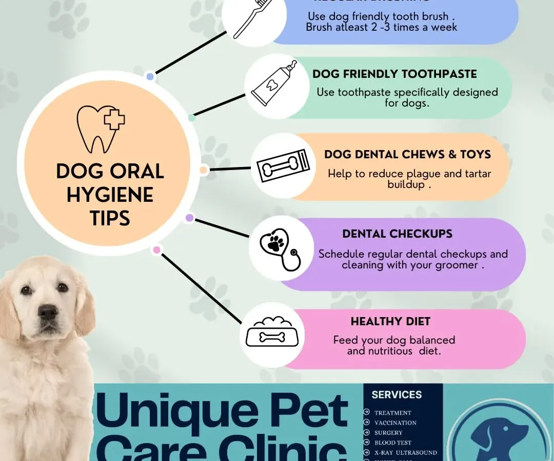 I believe prevention is the best care, which is why I love educating pet parents. This guide to dog oral hygiene covers essential tips, from using the right dog-friendly toothpaste to the importance of dental chews for reducing plaque.