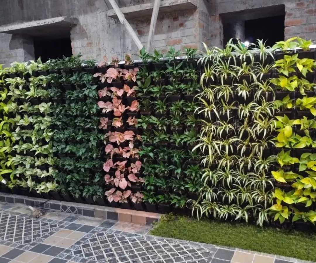 A vertical garden installation using color blocking for visual impact. I use different plant varieties like Syngonium and spider plants to create distinct textures and patterns on an exterior wall.