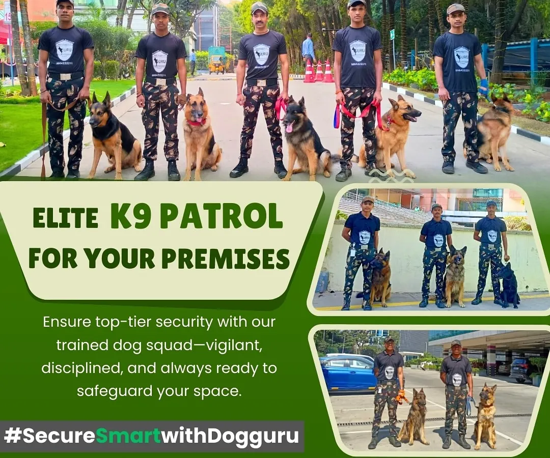 Our elite K9 patrol team stands ready for deployment. Each handler and their canine partner forms a disciplined unit, providing a visible and effective security presence for any premises.