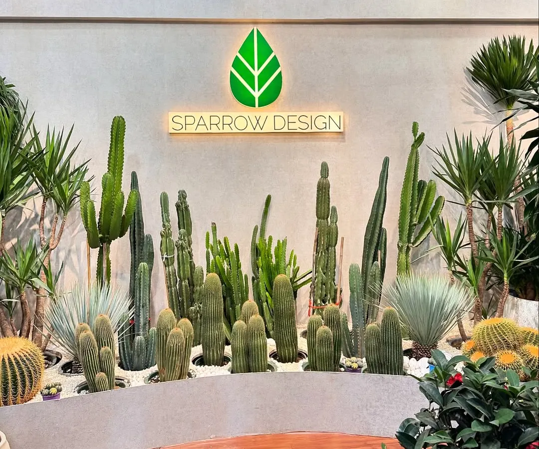 Welcome to my design studio, where the desert meets modern design. This custom cactus and succulent installation showcases how I use architectural plants and clean lines to create a stunning, low-maintenance focal point.