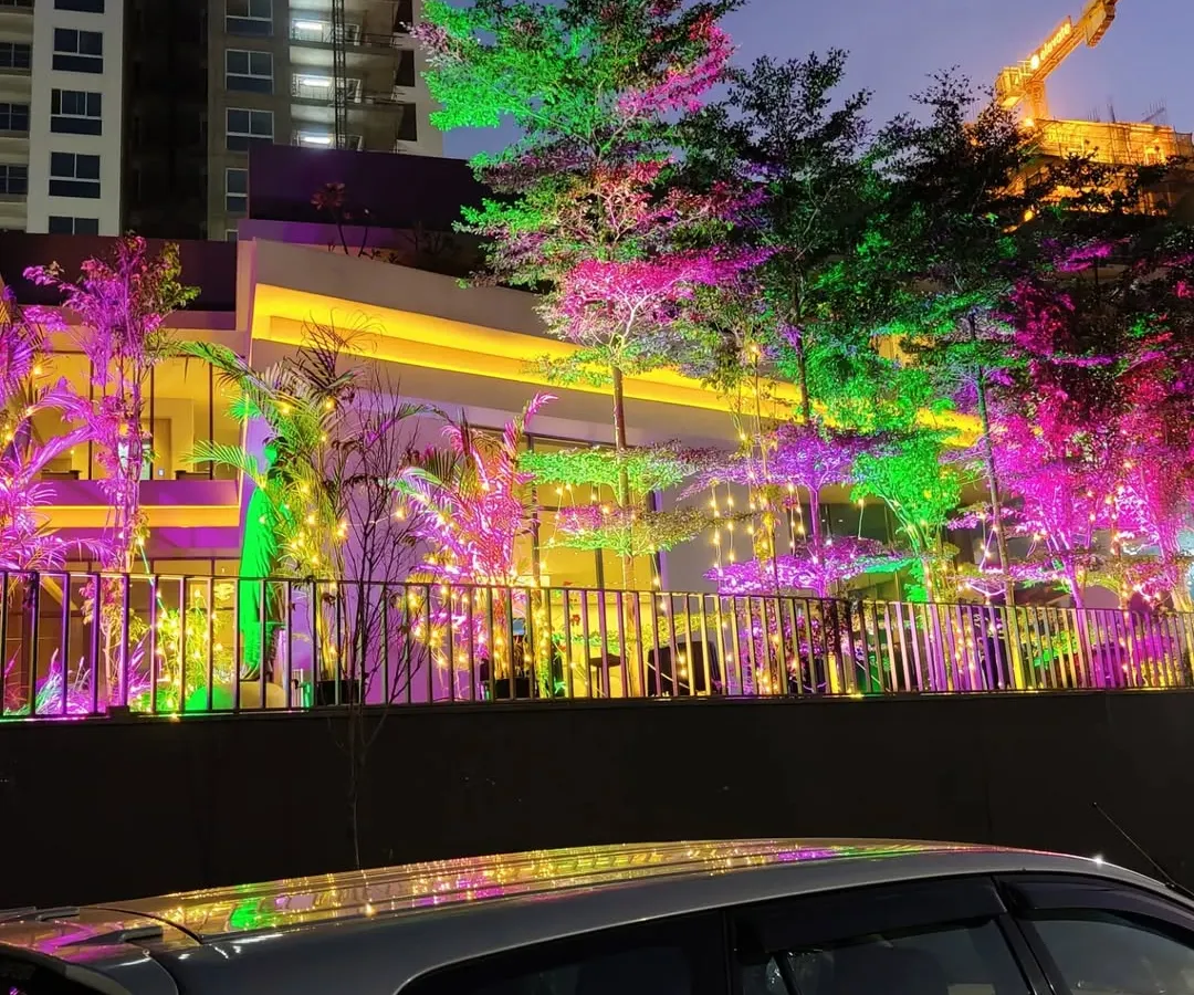 We transform outdoor spaces with professional lighting. Here, we used a mix of colorful uplighting on trees and warm fairy lights to create a festive ambiance for an evening Christmas party at a society clubhouse.