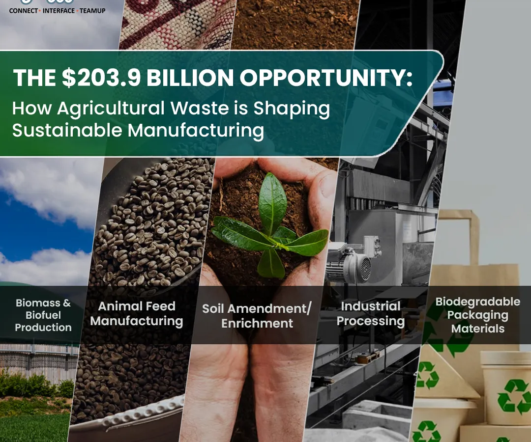 The market for agricultural waste is a $203.9 billion opportunity. We help entrepreneurs capitalize on this by setting up manufacturing units for high-demand products like biofuel, animal feed, and biodegradable packaging materials, turning sustainable practices into profitable ventures.
