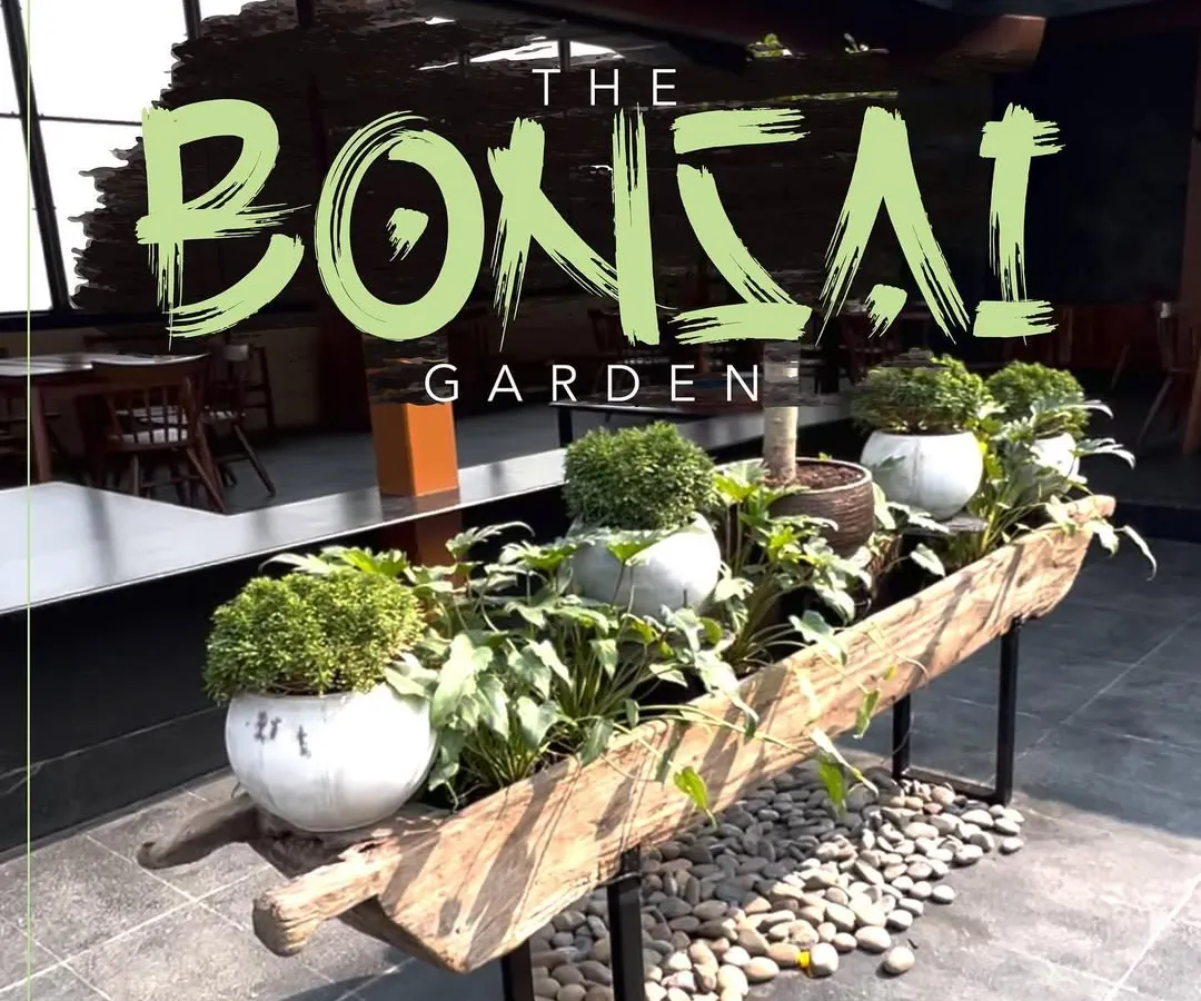 For the Haiku restaurant in Kokapet, I designed this signature bonsai garden. The centerpiece is a custom planter made from a reclaimed wooden boat, filled with a curated selection of plants and surrounded by smooth river stones. This installation provides a unique, artistic focal point for their terrace.