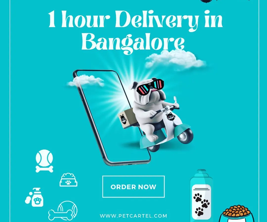 Ran out of pet food? We've got your back. For our customers in Bangalore, we offer super-fast 1-hour delivery on all your pet supply needs. This graphic highlights our promise of getting you what you need, when you need it, without the hassle.
