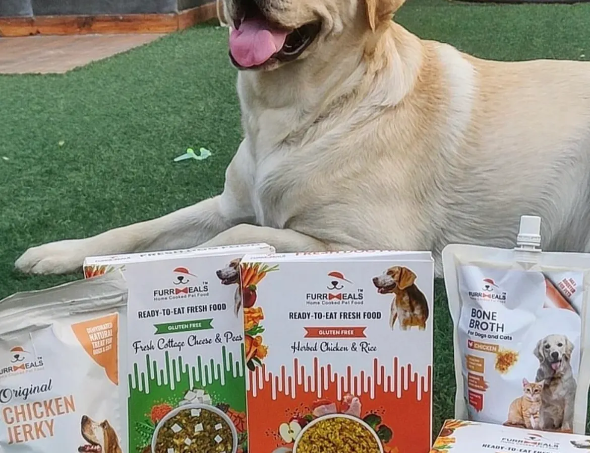 A happy, healthy dog is the best sight in the world. Here's a look at our complete range of nutritious offerings, from freshly cooked meals like Fresh Cottage Cheese & Peas to our protein-packed Chicken Jerky and healing Bone Broth.