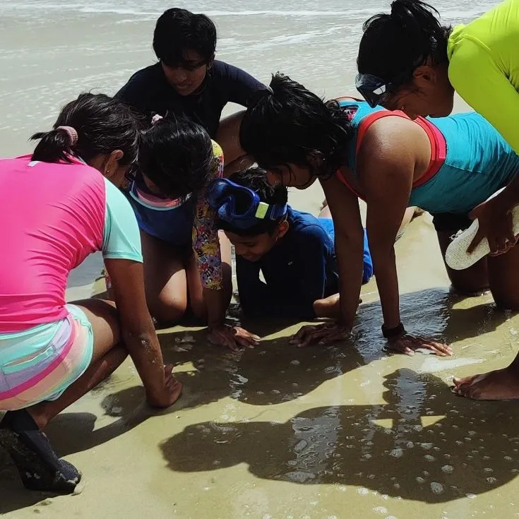 On the shores of the Gulf of Mannar, our young explorers get up close with marine life. This moment of intense, collaborative curiosity is what our coastal science trips are all about, fostering a love for marine ecosystems.