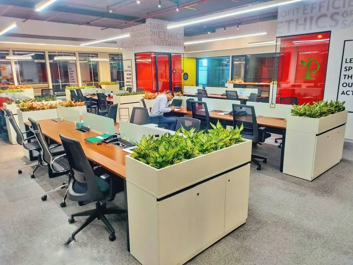 Here is a look at a large-scale open-plan office I transformed into a greener, more productive space. Strategically placed planters with air-purifying snake plants help define work zones and reduce stress for the entire team.