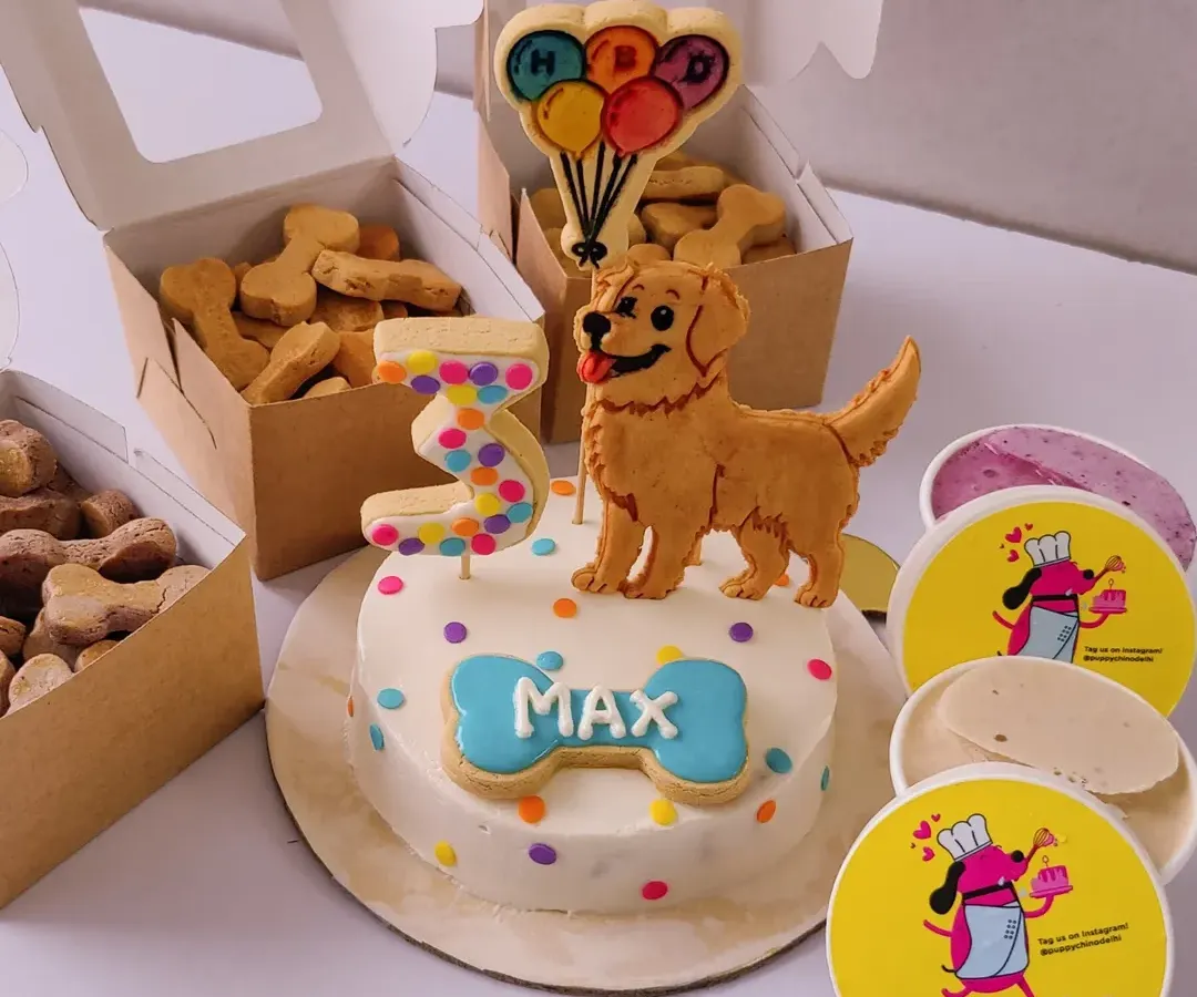 We do more than just cakes. This is Max's complete 3rd birthday package, featuring a custom Golden Retriever cake, boxes of our signature bone-shaped biscuits, and even some dog-friendly ice cream. We can create the perfect party spread for your pup.