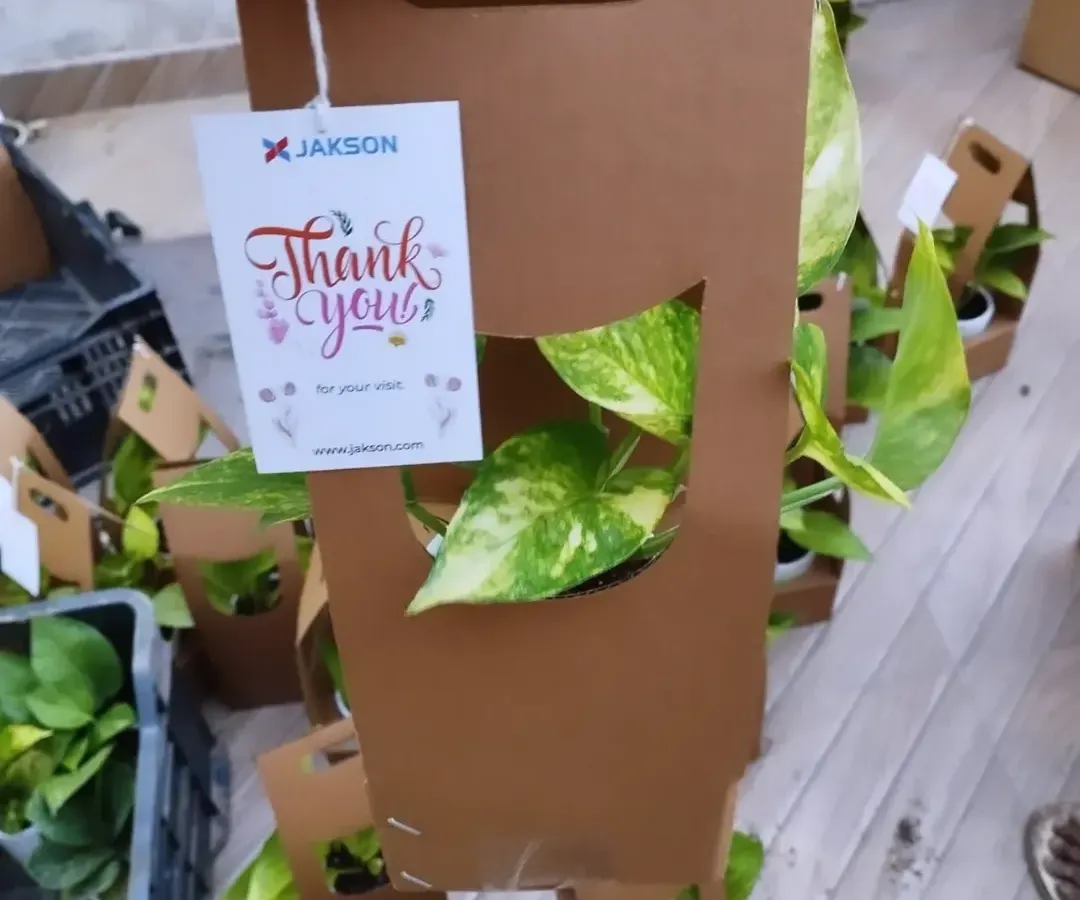 The final touch makes all the difference. This Golden Pothos is presented in our convenient cardboard carrier, complete with a custom "Thank You" tag for Jakson, making it a thoughtful and easy-to-distribute event giveaway.