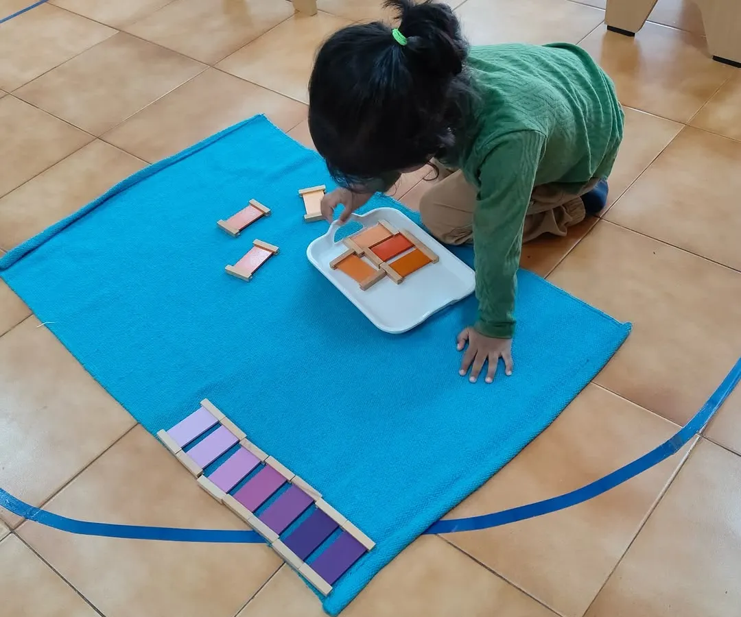 A child deeply focused on sorting color tablets. This isn't just play; it's purposeful work that refines visual discrimination, a foundational skill for reading, math, and appreciating the beauty in the world.