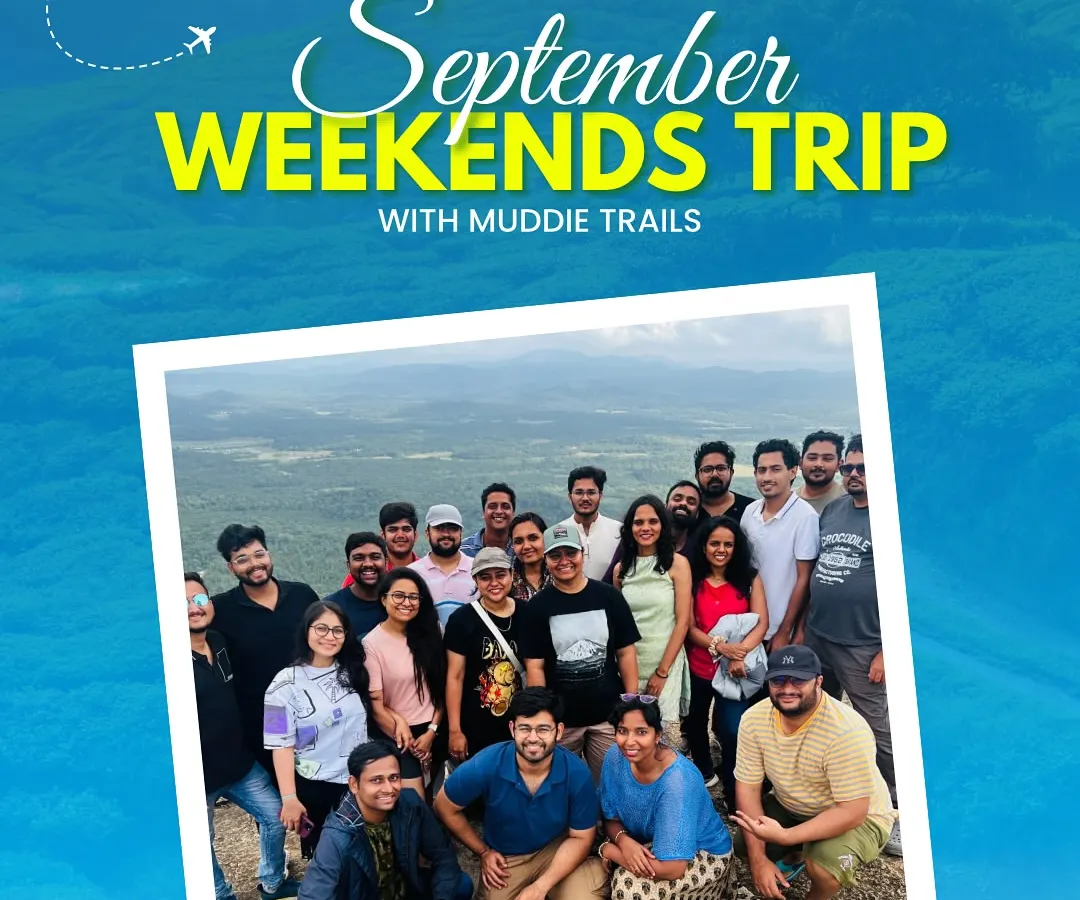 This could be you and your new travel fam. Most people join our trips solo and leave with a phone full of new contacts and memories. Here's our crew taking in the view from a mountain top.