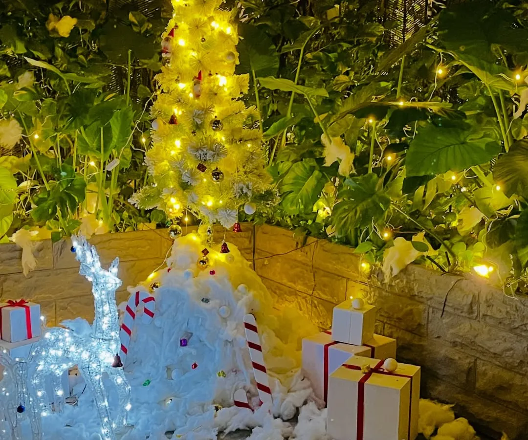 An enchanting outdoor Christmas installation perfect for a corporate building entrance or garden. This setup includes a beautifully lit white Christmas tree, glowing reindeer figures, faux snow, and neatly wrapped gift box props, creating a magical winter wonderland scene.