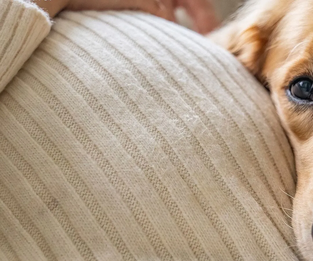 From puppy cuddles to baby snuggles. This is Hugo, feeling the first flutters of his new human sibling. Maternity sessions with pets are so special because we get to celebrate the bond you already have before your family grows by two little feet.