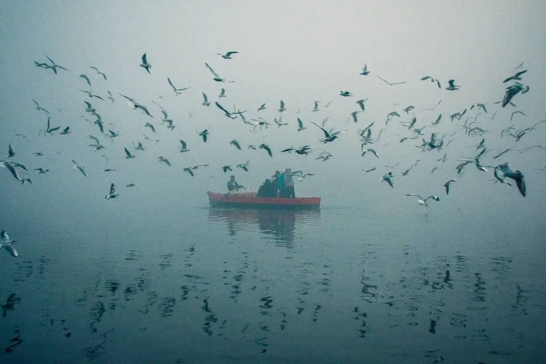 This shot was taken during a foggy morning on the Yamuna Ghat. For me, this image is all about the mood. The single red boat surrounded by birds in the mist creates a quiet, almost painterly scene that tells a story of Delhi's serene side.
