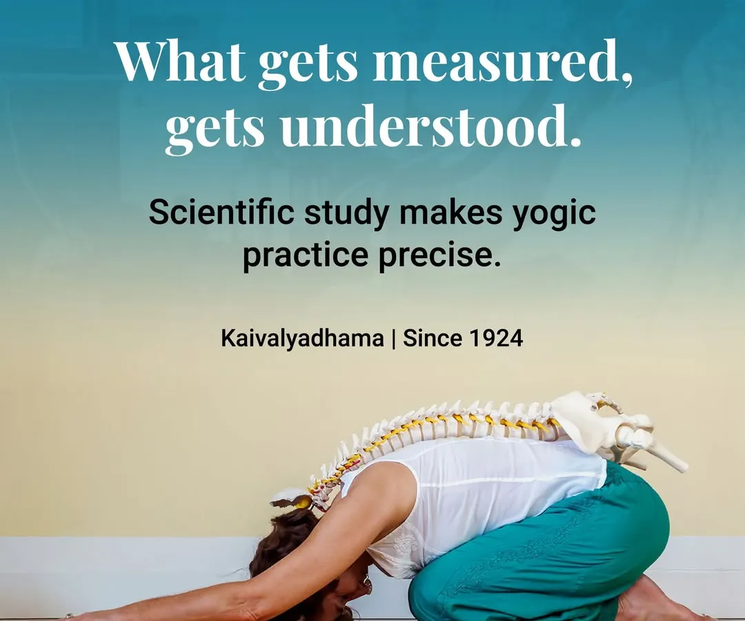 Our approach is grounded in scientific understanding. We study practices like asana and pranayama to understand their precise effects on the body, ensuring that our teaching is safe, effective, and based on observation, not just assumption.