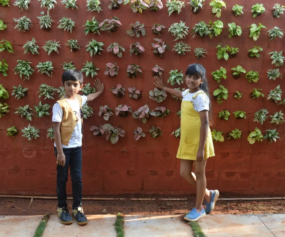 A vertical garden is a fantastic way to bring life to any wall, and it's a project the whole family can enjoy. Here’s a finished green wall I installed, which instantly transformed this outdoor patio space into a vibrant, living area.