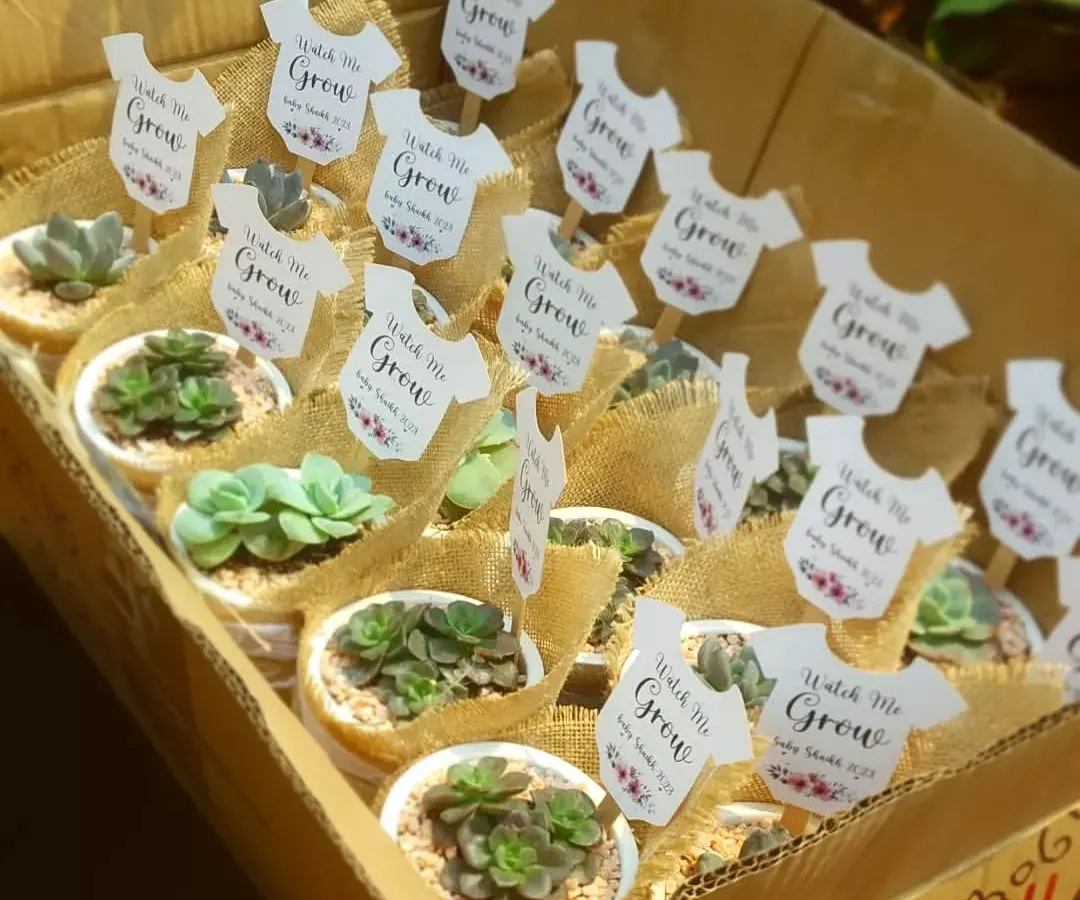 I love helping you celebrate special moments. Here’s a bulk order of succulent party favors for a baby shower, complete with custom "Watch Me Grow" tags and eco-friendly burlap wrapping.