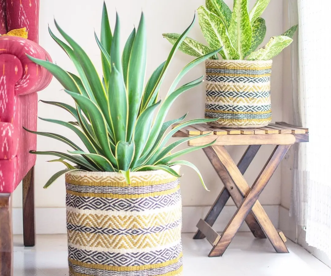 I am so excited to share my African-inspired jute baskets. The vibrant, hand-woven patterns bring a splash of color and creativity to any room. They are perfect as a planter cover or a beautiful storage solution.