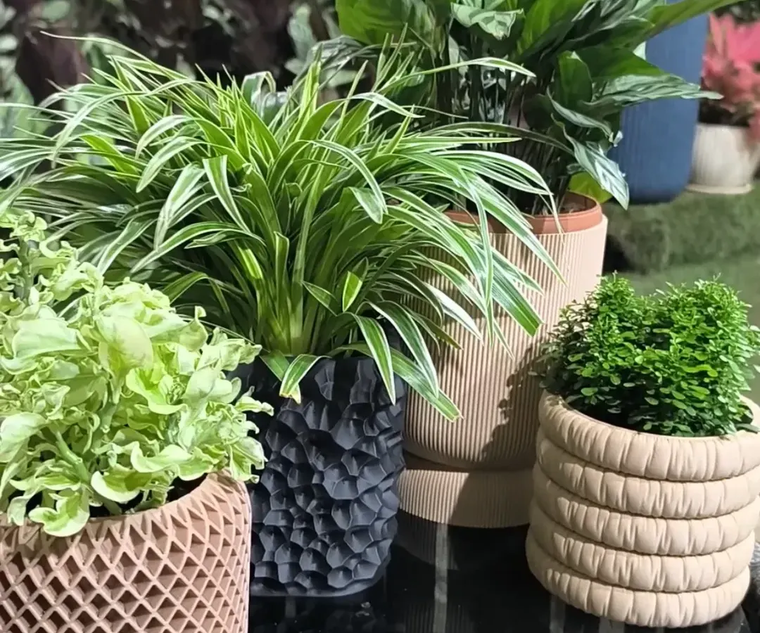 We believe the right plant and planter combination can transform any space. Here is a glimpse of our curated collection, featuring a variety of textures and styles to help you find the perfect match for your home decor.