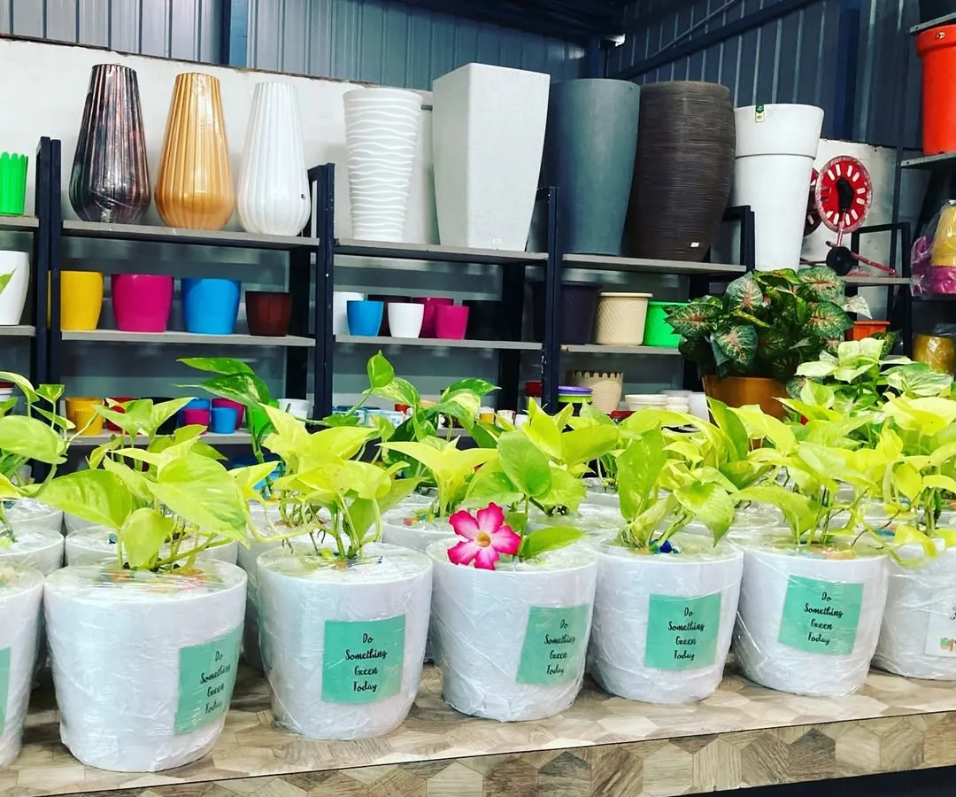 Here’s a look at a large corporate order getting ready for dispatch. Each plant is carefully potted and wrapped, showing how I handle bulk requests with a personal touch. This is a great sustainable gift for employee appreciation, client thank-yous, or company events.