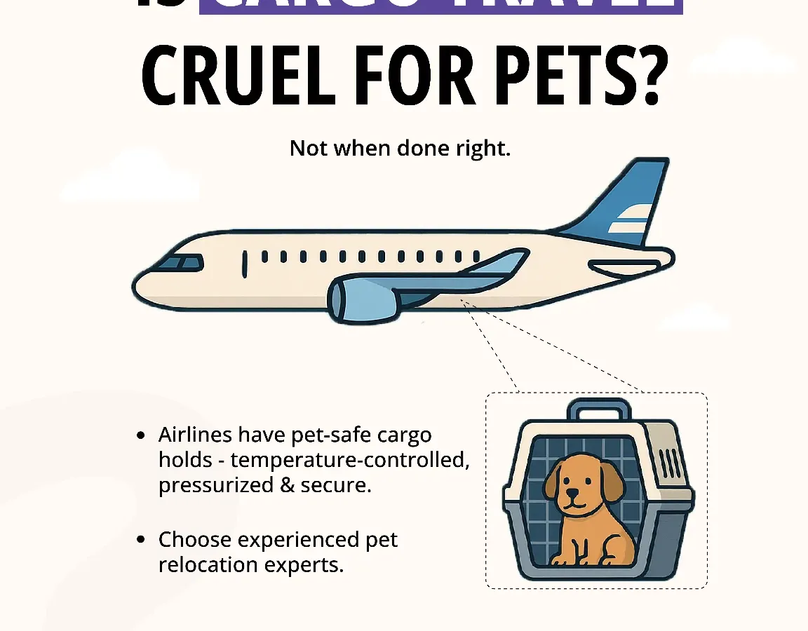 Many pet parents worry if cargo travel is safe. When done right, it is the safest method for international journeys. I only use airlines with pet-safe, temperature-controlled, and pressurized cargo holds, ensuring your pet's comfort is never compromised.