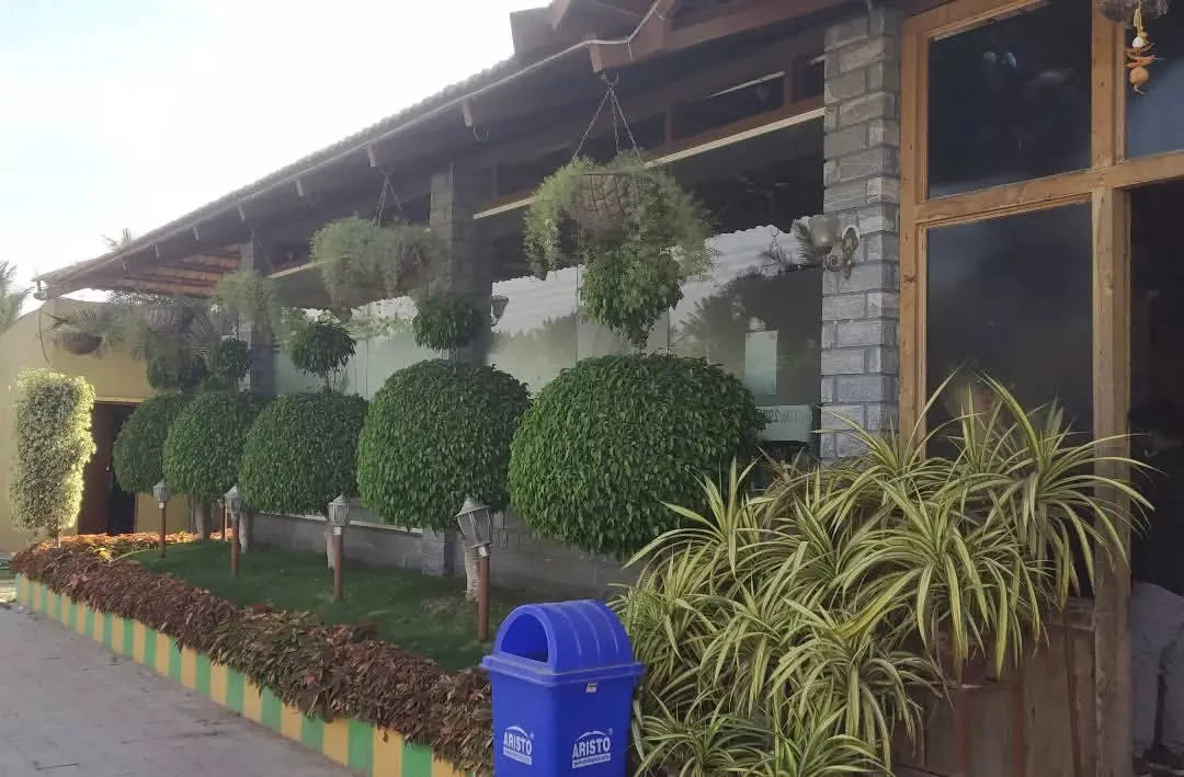 A great garden is about structure and health. For this property, my regular maintenance service includes meticulous pruning to keep these large shrubs perfectly spherical and ensuring the surrounding plants are vibrant and thriving. This is what consistent care looks like.