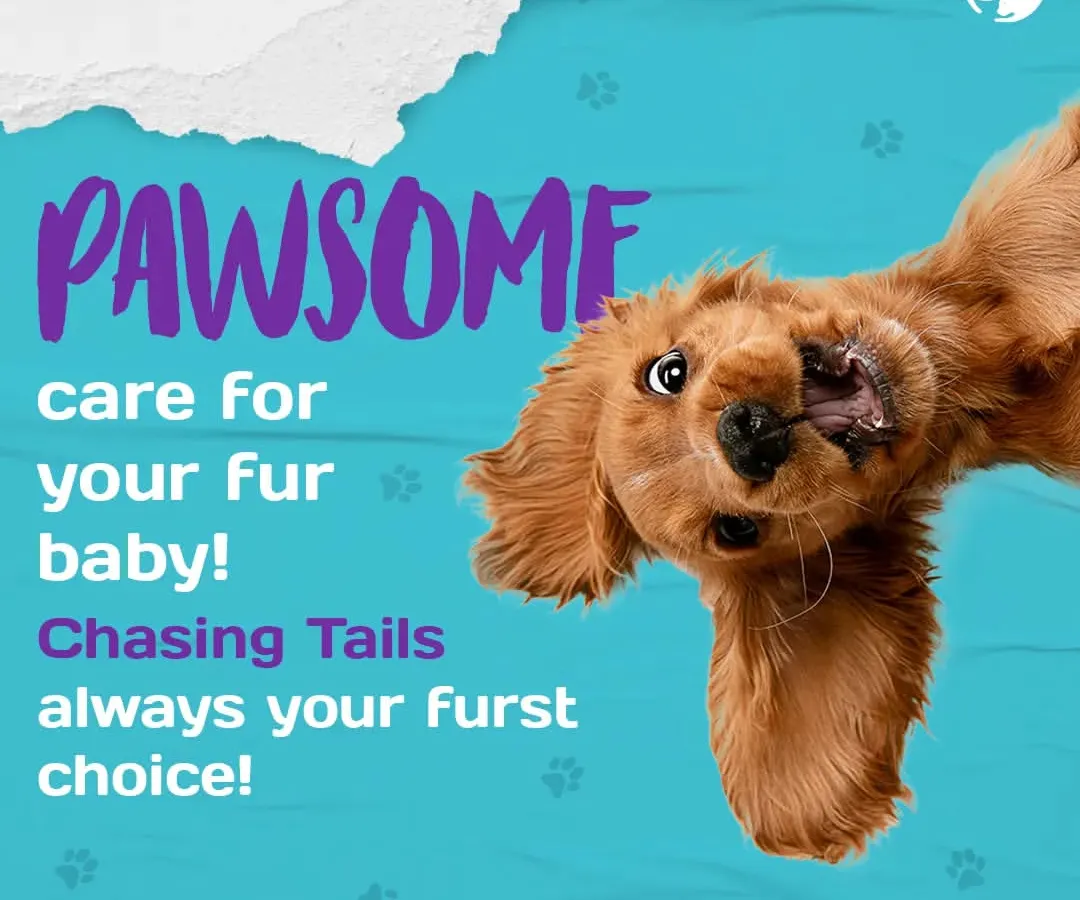 I am committed to providing pawsome care for your fur baby. My hydrotherapy pool is a perfect example, offering a gentle and fun way to improve mobility, manage weight, or simply let your dog enjoy a good paddle.