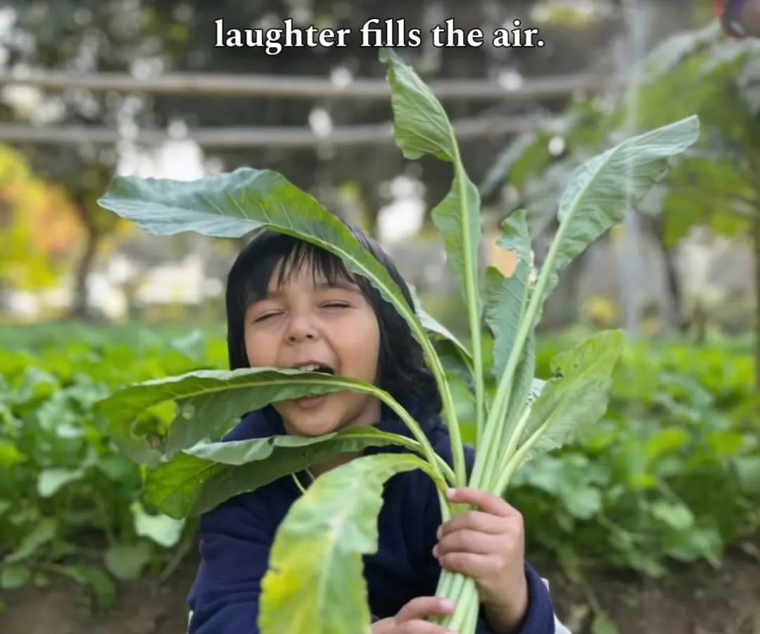This is what pure happiness looks like. A young visitor is overjoyed after pulling up a giant, fresh radish from our organic vegetable patch. It’s these real, earthy moments that make a day at Farmus so special.