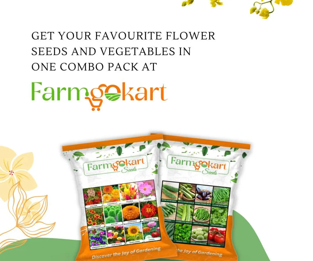 Whether you want a garden bursting with colorful flowers or one filled with fresh vegetables, I have the perfect combo pack for you. My seed collections are designed to give you a variety of high-quality options in one easy package.