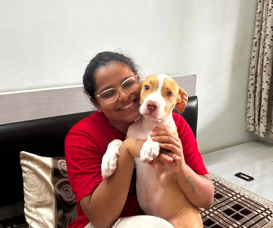 This is the heart of my work. A quiet moment of trust and connection with a young pup. Before any commands are taught, I focus on building a safe and loving bond, because a happy dog is one who feels understood and secure.