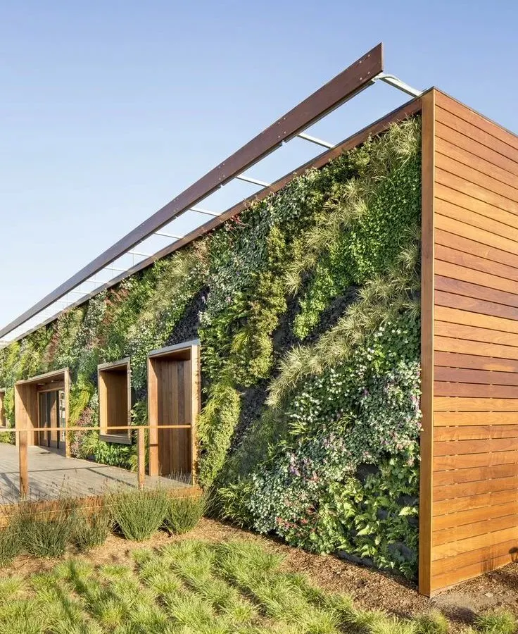My services extend to large-scale commercial projects, like this building exterior. A vertical garden of this size makes a bold statement, improves the building's aesthetic, and contributes to a greener urban environment.