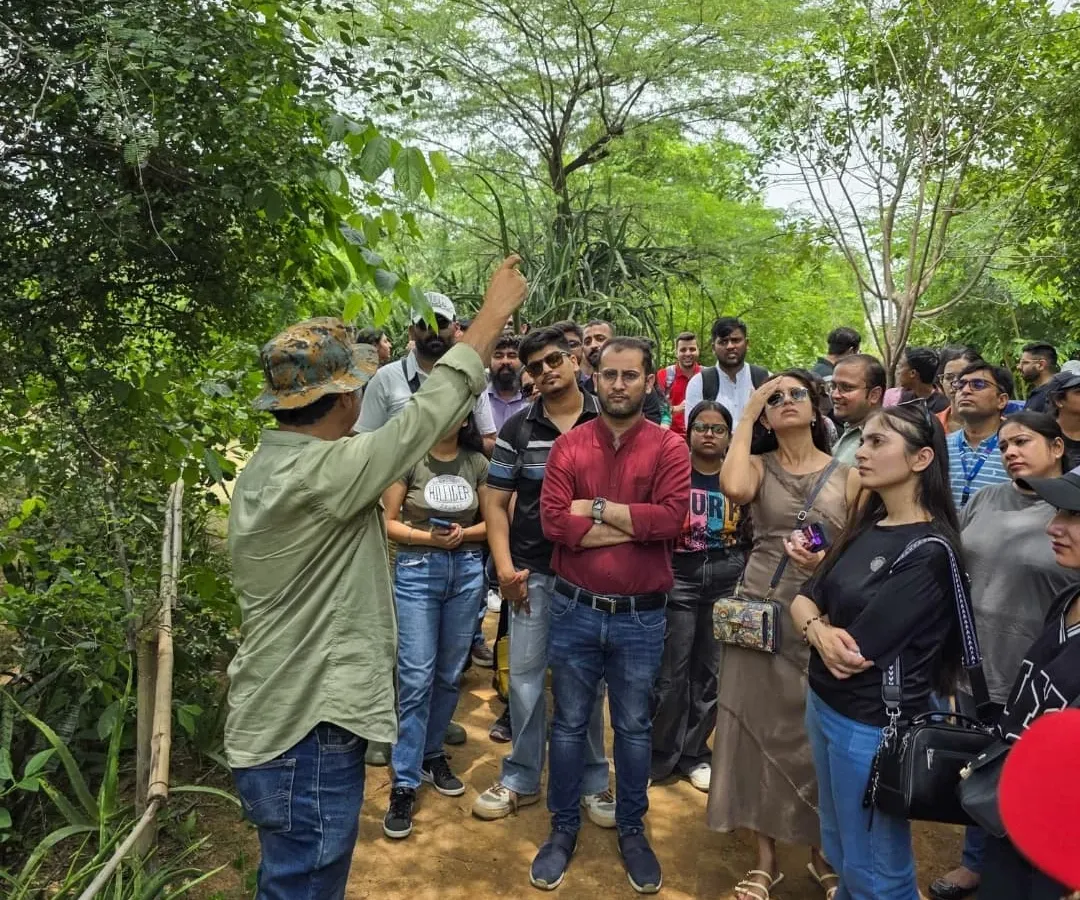 A walk with us is a conversation. Here, I am showing a group from KPMG the small details you might otherwise miss. We look at leaf patterns, check for insects, and talk about how everything in the forest is connected. It is not a lecture, it is a shared discovery.