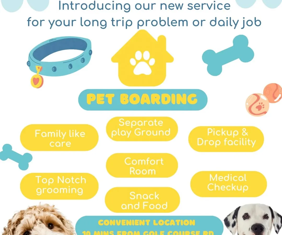 We've designed our pet boarding services to cover every need, ensuring your peace of mind and your pet's comfort. This overview shows our key features, from family-like care and a dedicated comfort room to medical checkups and a convenient pickup and drop-off facility.