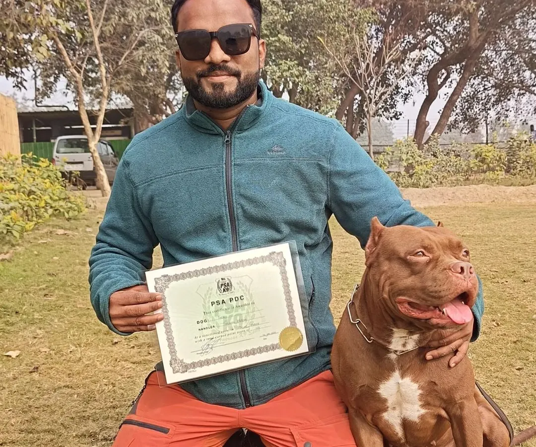 This was a proud moment. Here I am with my boy Thor, an American Pitbull, after he became the first in India to clear the PSA PDC (Protection Dog Certificate) on a full bite suit. This certificate is proof of our dedication and high standards.