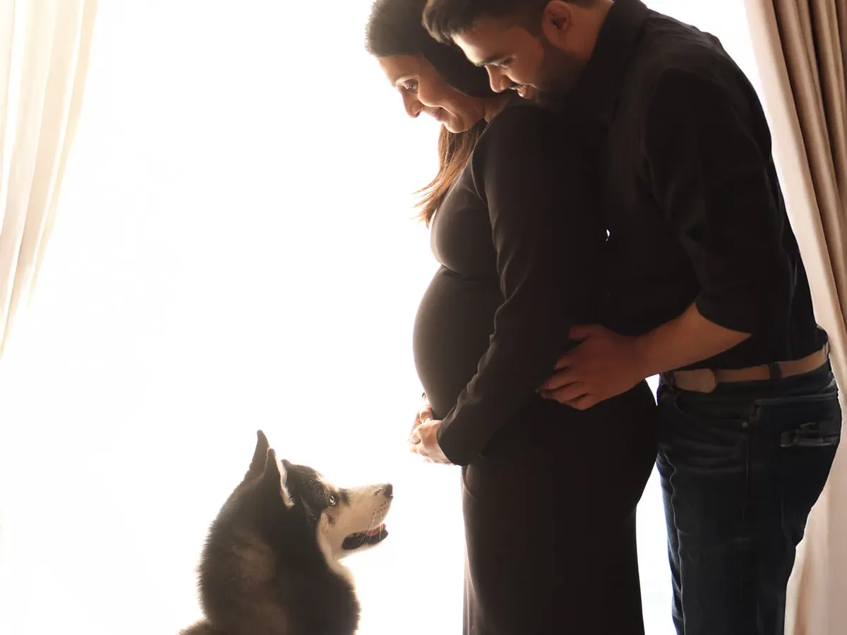This is what I mean by happy chaos. This beautiful, light-filled portrait captures the quiet anticipation of the parents-to-be, with their majestic husky watching over them. It’s a perfect example of an indoor maternity session where the whole family feels the love.
