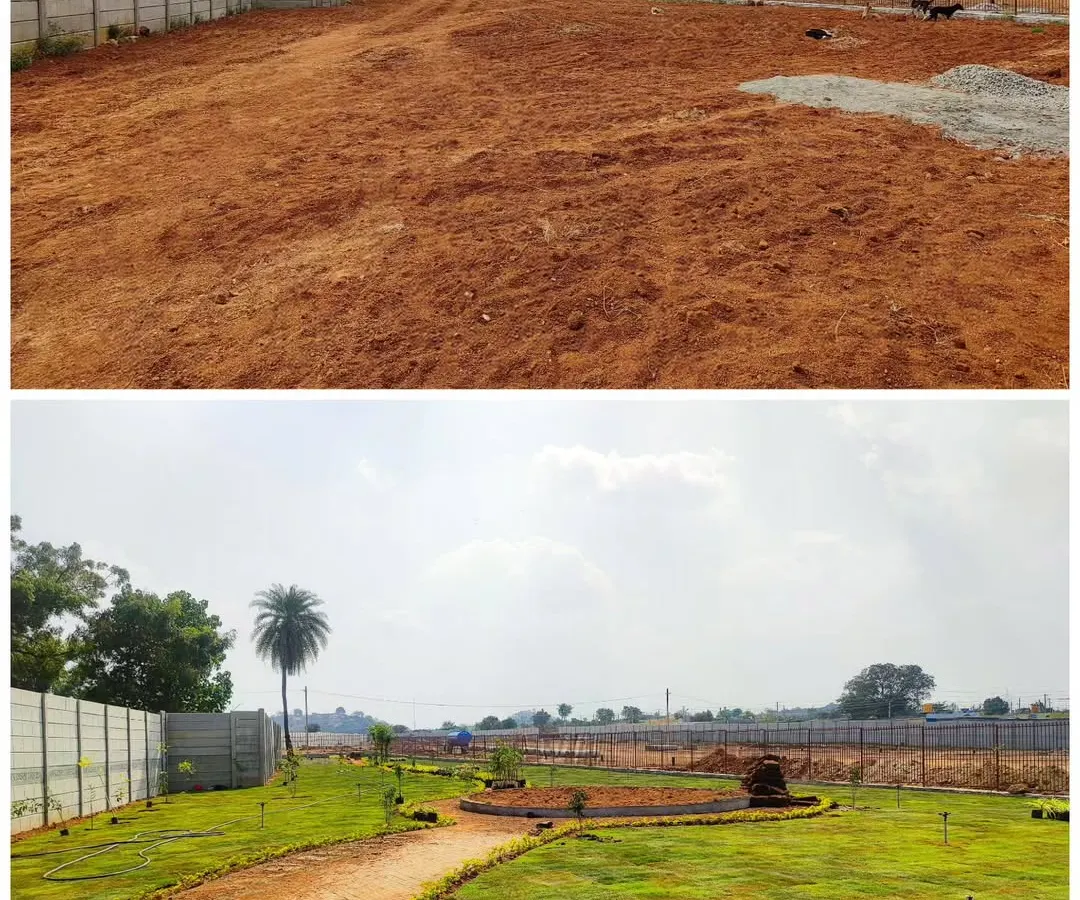 This shows the potential of large, empty plots. I turned this barren land into a community park by designing walkways, planting grass lawns, and adding trees, creating a sustainable green space for everyone to enjoy.