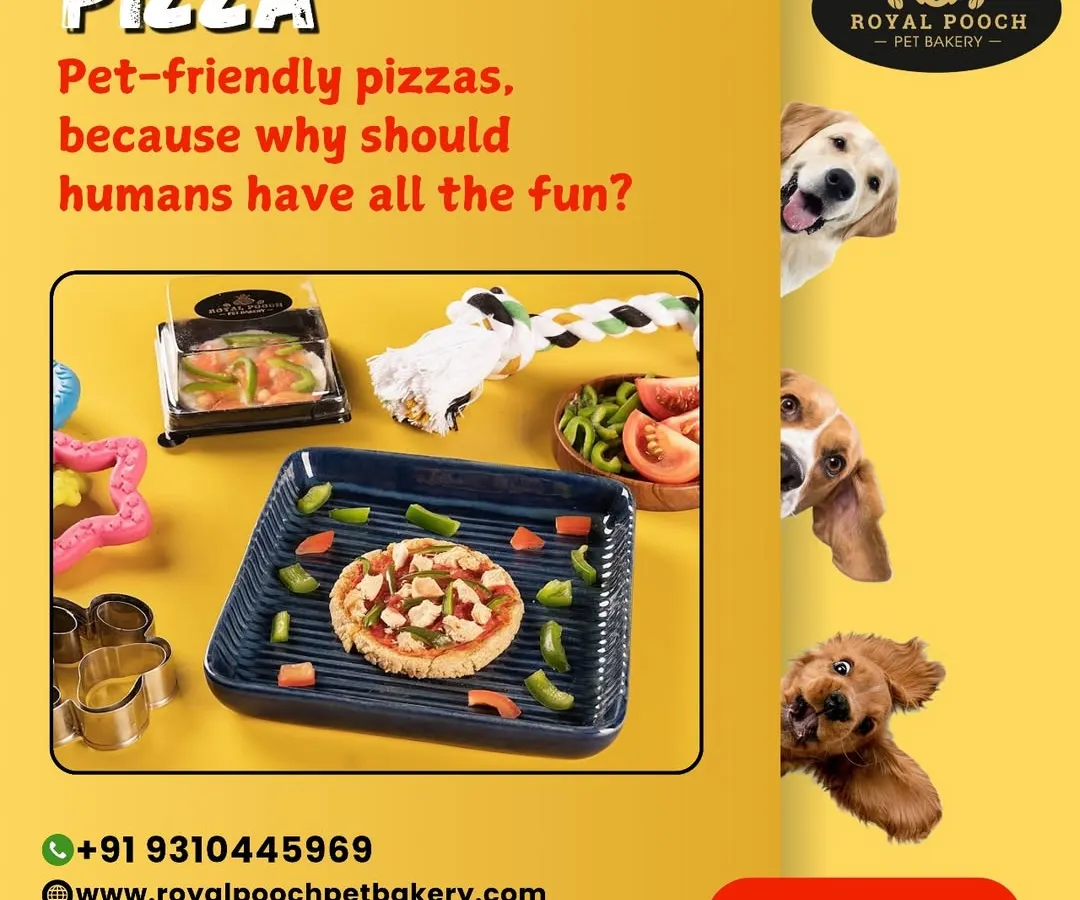 Who says humans get to have all the fun? I make these pet-friendly pizzas from scratch with wholesome, dog-safe ingredients. It's a perfect, fun meal for a special treat night that your furry friend will absolutely love.