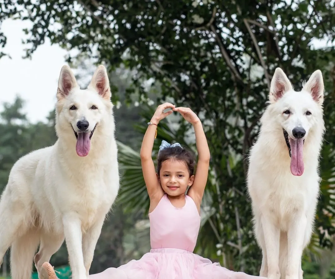 This was a magical shoot combining the grace of a young ballet dancer with her two majestic White Swiss Shepherds. I love bringing unique and creative visions to life.