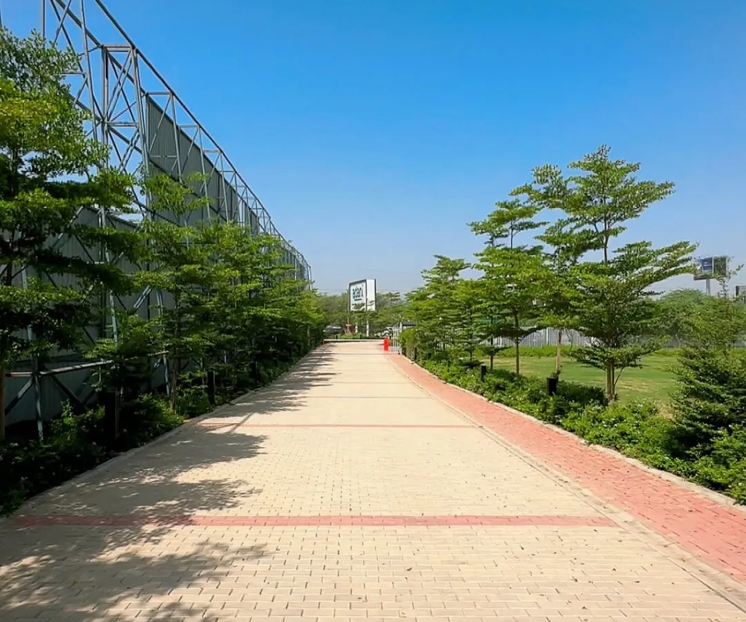 This is a large corporate campus in Gurugram where we handled the complete outdoor landscaping. We planted hundreds of trees to line the pathways and create a green, welcoming entrance for the Adani Realty project.